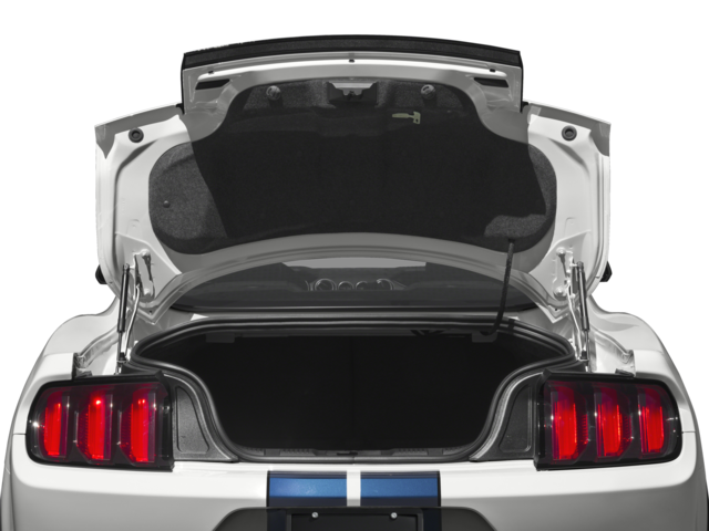 2016 Ford Shelby GT350 Shelby GT350
