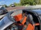 2027 Chevrolet Corvette Stingray 3LT